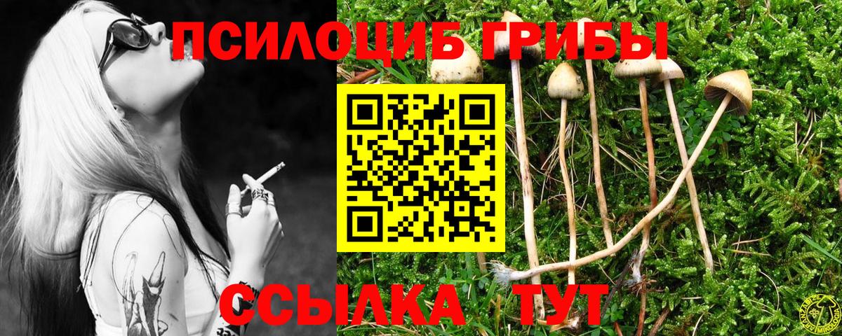 Псилоцибиновые грибы Psilocybine cubensis  Галлюциногенные грибы Cubensis  Полевской  Вход с VPN 