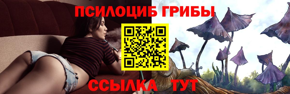 Псилоцибиновые грибы мухоморы Полевской